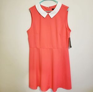 Sharagano Coral White Collar Dress